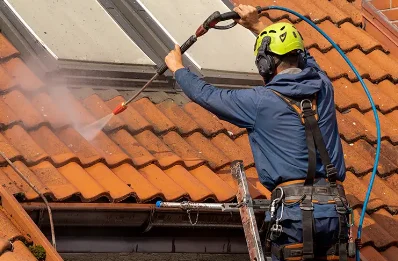 Démoussage et hydrofuge de toiture à Barry-d'Islemade